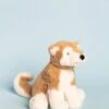 Milo Shiba Inu: Medium -Ooly Shop 1 12 21 1