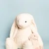Bashful Bunnies -Ooly Shop 1 12 21 196