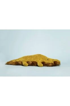 Wiley Croc -Ooly Shop 1 12 21 20