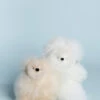 7" Micro Alpaca Stuffed Animal - Bear -Ooly Shop 1 20 22 219
