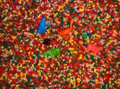 Find It At The Zoo -Ooly Shop 2509a02409ce3cc5022982e859e44a1c7ed297512f2b648600cf195fbf43d715