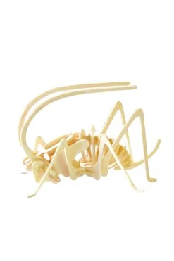 JP2B9, DIY 3D Wooden Puzzle Bundle Pack: Insects & Arachnids 13 JP2B9, DIY 3D Wooden Puzzle Bundle Pack: Insects & Arachnids -Ooly Shop 6013b891b9fe673f85527a765902b15018fe842272c16c19bd17df55947815af