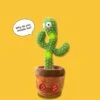 Singing Dancing Cactus -Ooly Shop 611678461399a5b921f22c8fb7451171734760335b39dc49aa430087a316d94d