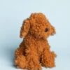 Cooper Labradoodle Pup -Ooly Shop 7 6 22 48