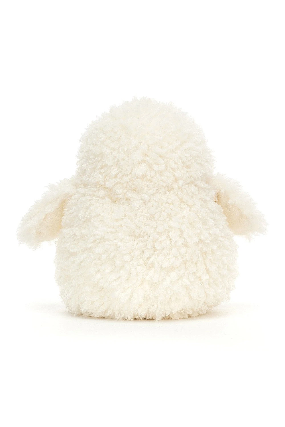 Apollo Owl 5 Apollo Owl - Image 3