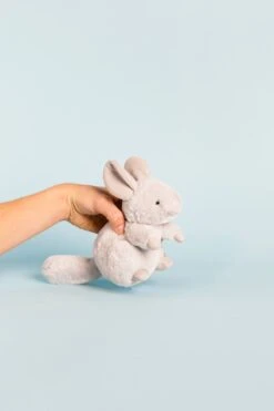 Cheeky Misty Chinchilla