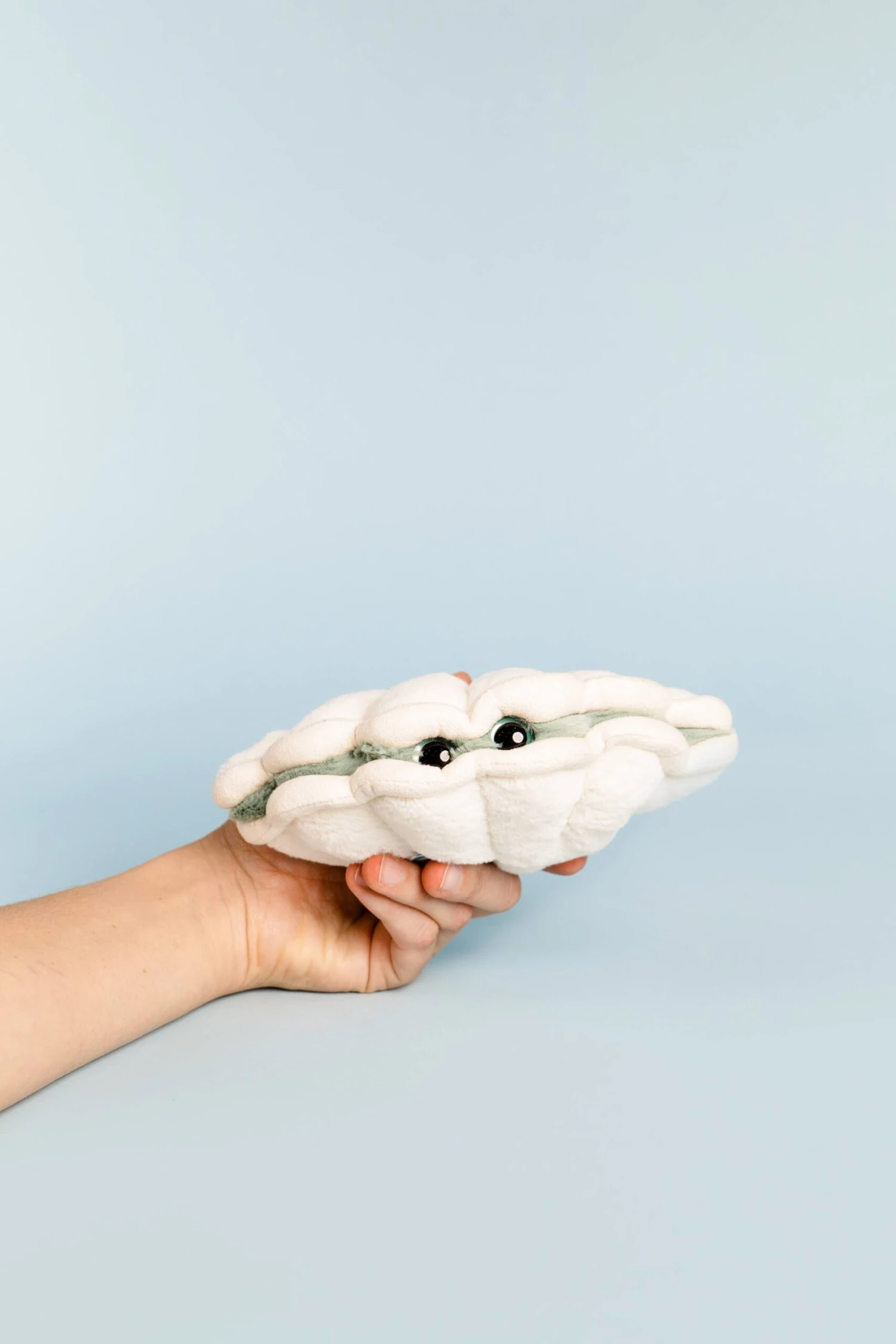 Chloe Clam Small 3 Chloe Clam Small