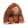 Oswald Orangutan 1 Oswald Orangutan -Ooly Shop oswale